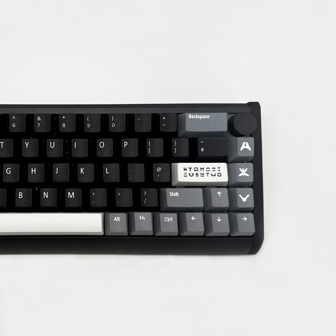 RORSCHACH QWERTY PBT keycaps on a mechanical keyboard, featuring OEM profile keys and Grey, White & Black Keycaps