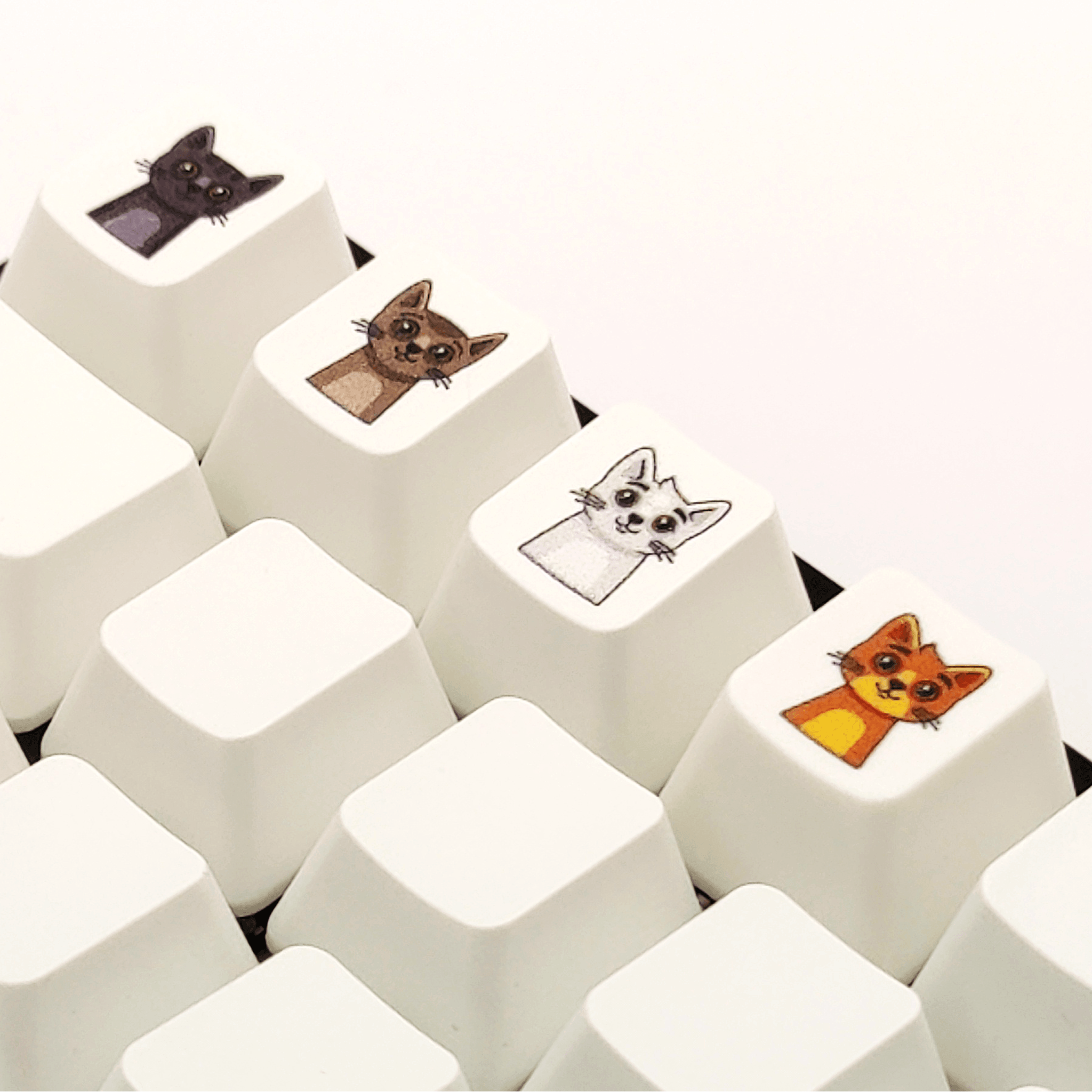 Custom Symbol Keycaps Cat Collection V2 Custom Keycaps – Krome Keycaps LTD