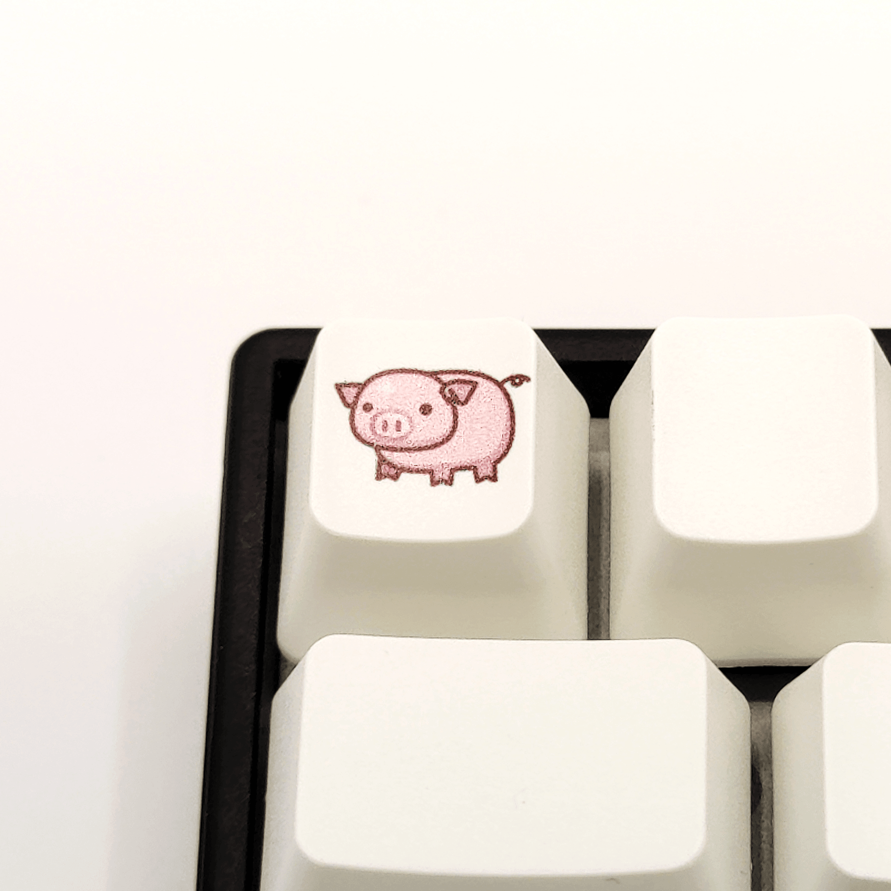 Keystroke Pigs Vector Cute Pig Custom Keycap – Krome Keycaps LTD